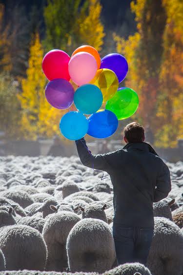 BEST Boy with Balloons - Laura Drake