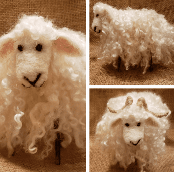 sheep