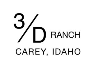 3-Dlogo