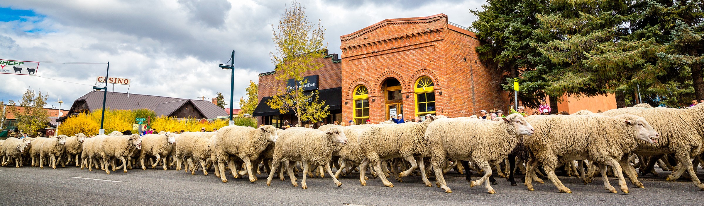 2026 Trailing of the Sheep Festival