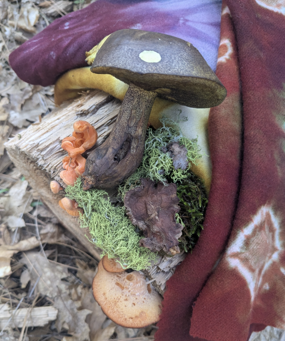 Screenshot 2026-04-07 at 10.28.31 AM